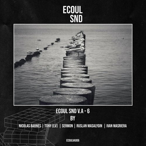 VA - Ecoul Snd V.a 6 [ECOULVA006]